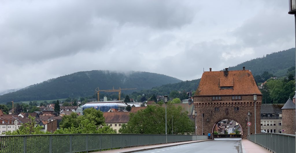 Miltenberg, vista da ponte, Alemanha, Agarre o Mundo