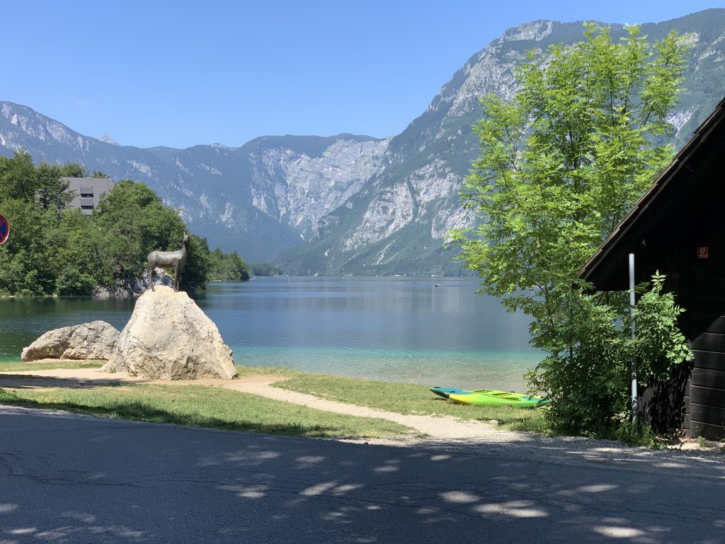 Stand Up no Bohinj, Eslovênia, Agarre o Mundo