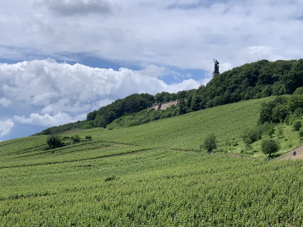 Vinhedos em Rudeshein am Rhein, Alemanha, Agarre o Mundo