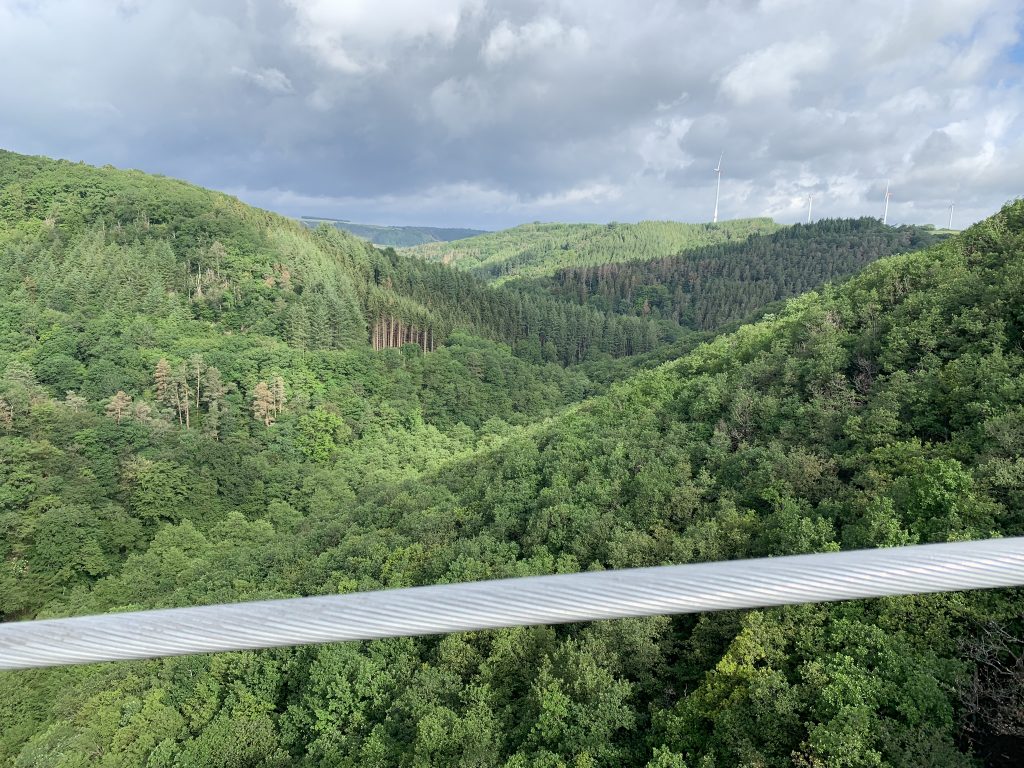 Ponte suspensa Geierlay, Alemanha, Agarre o Mundo