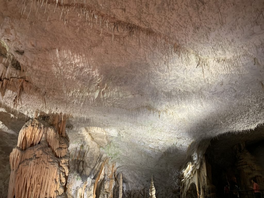 Caverna de Postojna, Eslovênia, Agarre o Mundo
