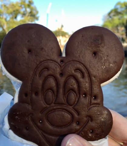 Biscoito Sorvete do Mickey, Agarre o Mundo