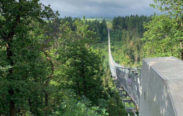 Ponte Suspensa Geierlay, Agarre o Mundo