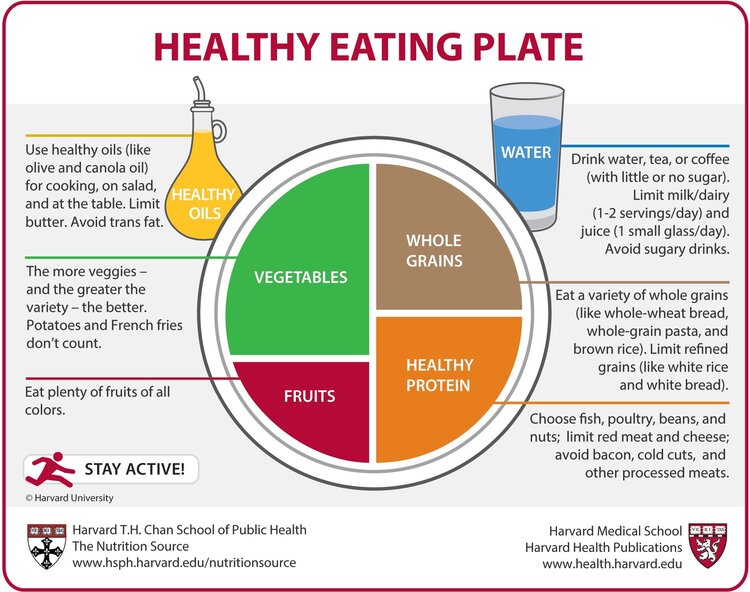 Nutrição, Agarre o Mundo