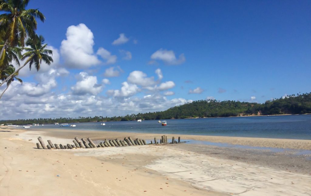 Praia dos Carneiros, Agarre o Mundo