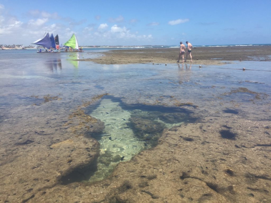 Agarre o Mundo, Piscinas Naturais de Porto de Galinhas - Pernambuco