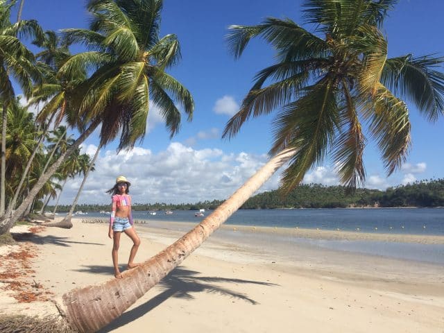 Praia dos Carneiros, litoral nordestino, Agarre o Mundo