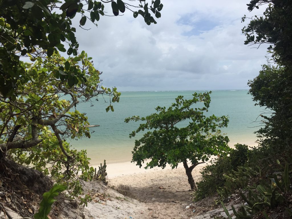 Praia do Gunga, Litoral nordestino, Agarre o Mundo