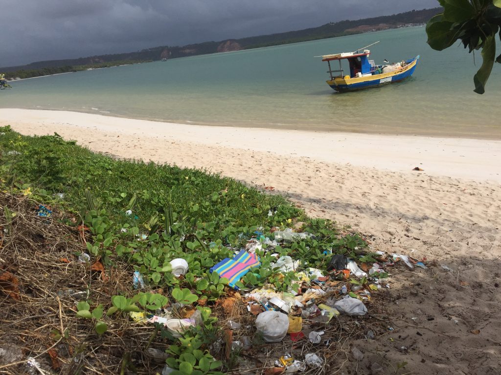 Praia do Gunga, Litoral Nordestino, , Agarre o Mundo