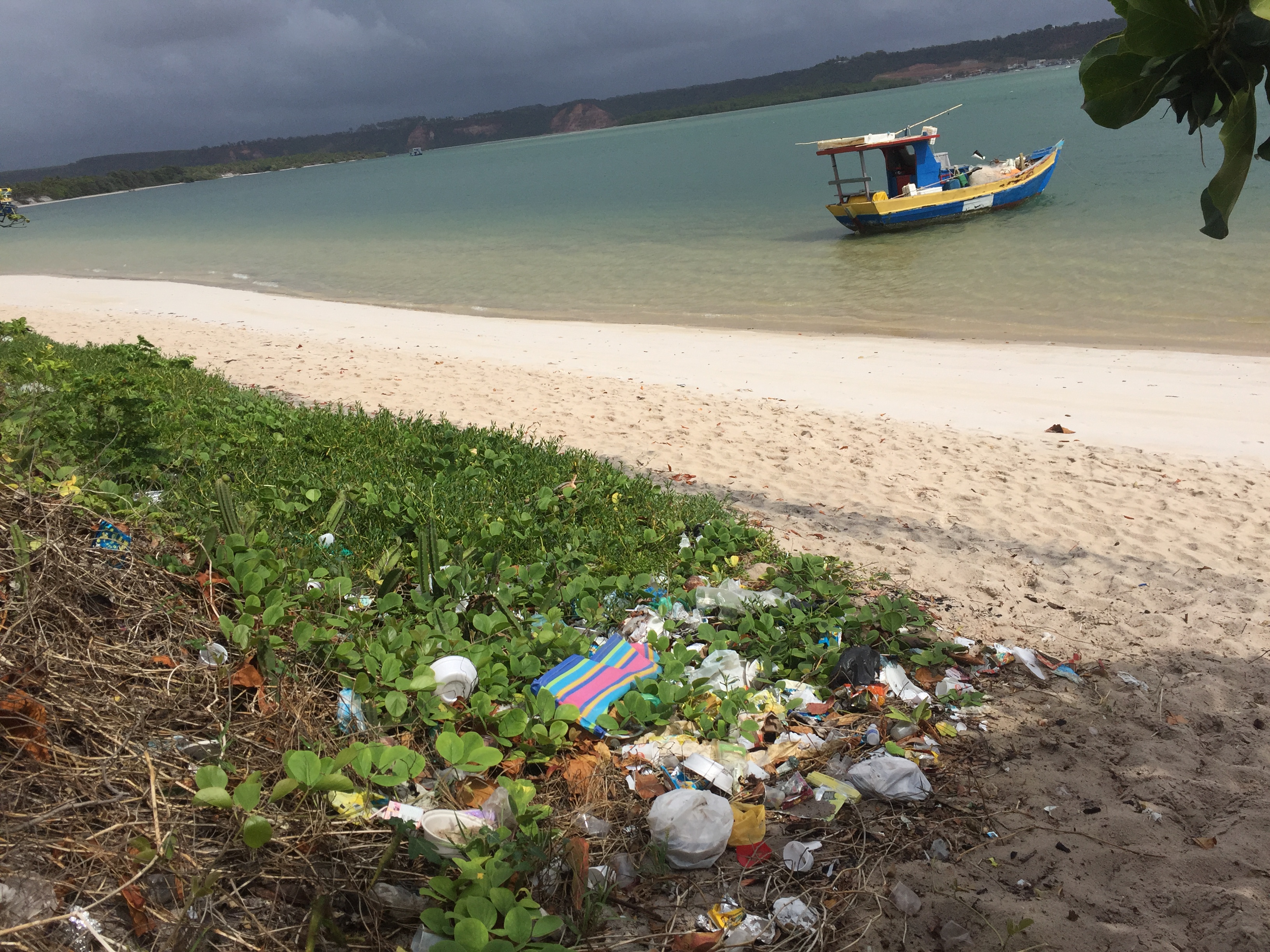 Lixo presente nas praias do litoral nordestino - Brasil, Praia do Gunga, Litoral Nordestino, Agarre o Mundo