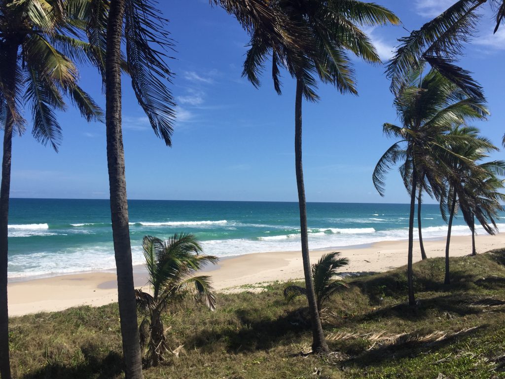 Praia de Maragogi, Agarre o Mundo