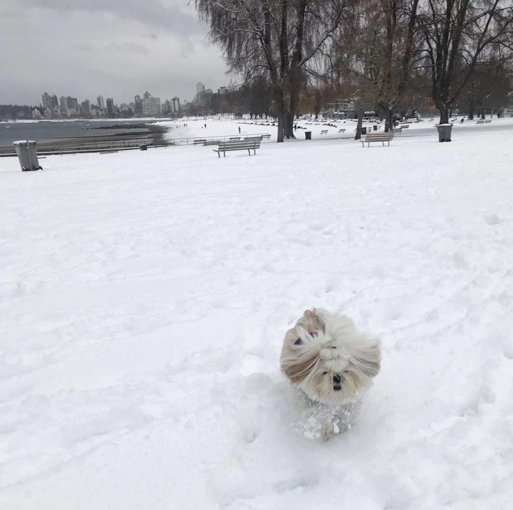 Jimmy na neve, Vancouver, Agarre o Mundo