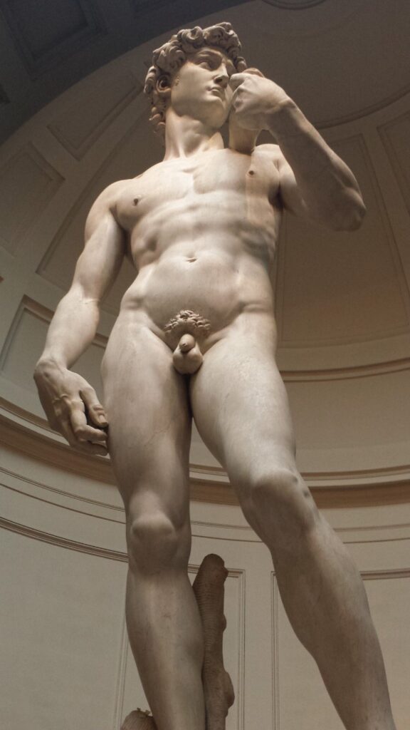 David de Michelangelo, Florença, Agarre o Mundo