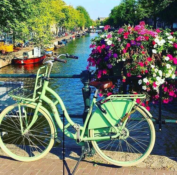 Amsterdã Foto: @bembelga, O Horta Grand Café & ArtNouveau é umaopção de refeição saborosa com bom custo Foto: Horta Grand Café, Bélgica, Agarre o Mundo