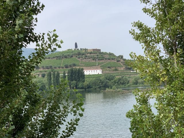 Régua- Portugal, Agarre o Mundo