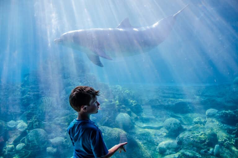 Momento Mágico no Sea World Orlando!