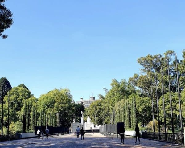 Cidade do México, Agarre o Mundo