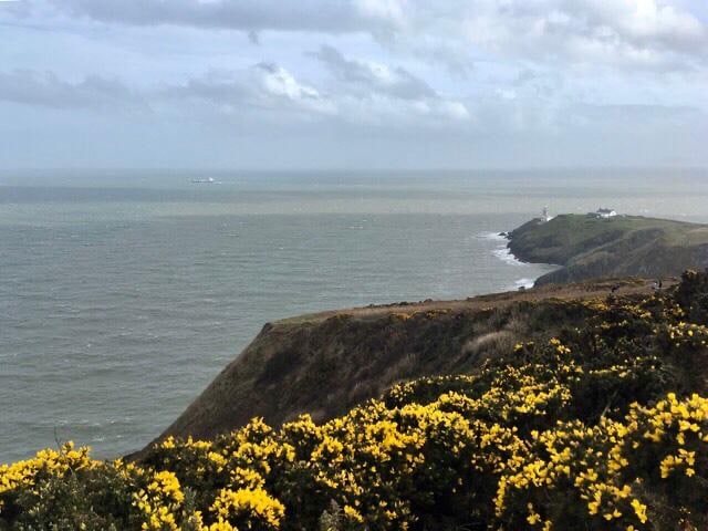 Mini Cliffs, Dublin, Agarre o Mundo