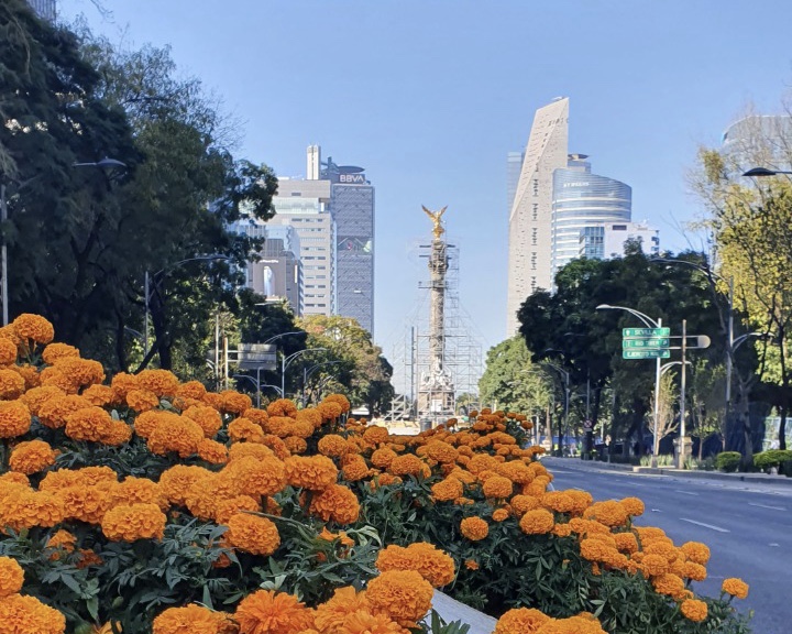 Cidade do México, Agarre o Mundo