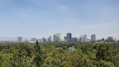 Bosque de Chapultepec, Agarre o Mundo
