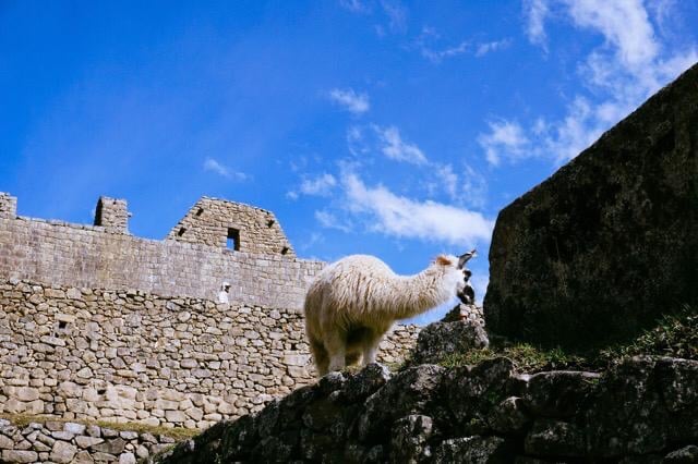 Machu Pichu, Agarre o Mundo