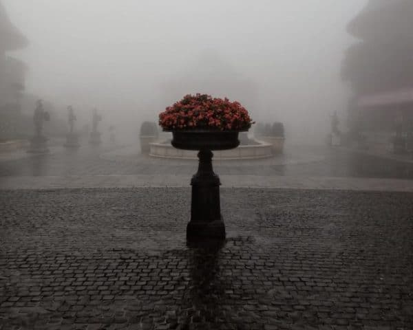 Chuva numa praça, Destinos de mês de Março, Agarre o Mundo