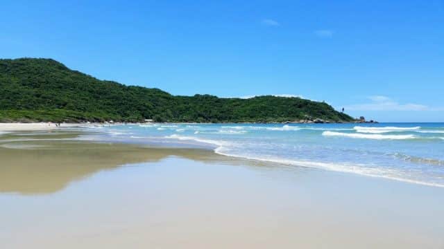 Praia do Brasil, Agarre o Mundo