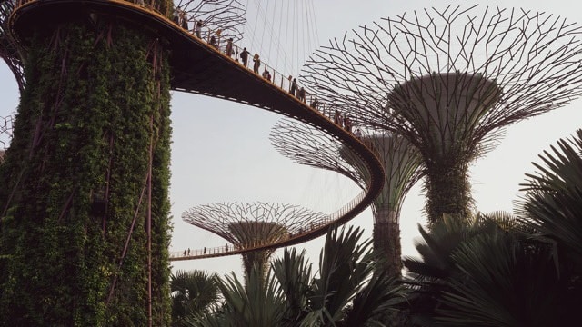 Singapura, Agarre o Mundo