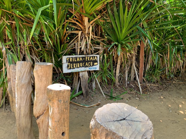 Praia de Jeribucaçu, Itacaré, Agarre o Mundo