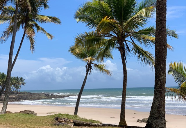 Praia de Jeribucaçu, Itacaré, Agarre o Mundo