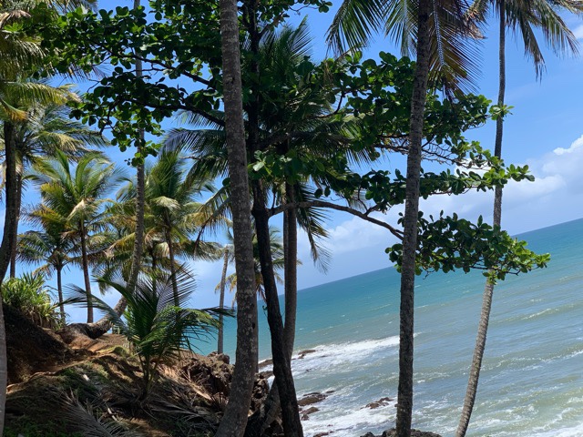 Caminho até a praia do Arruda, Itacaré, Agarre o Mundo