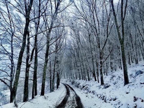 Agarre o Mundo, Serra da Estrela durante o inverno