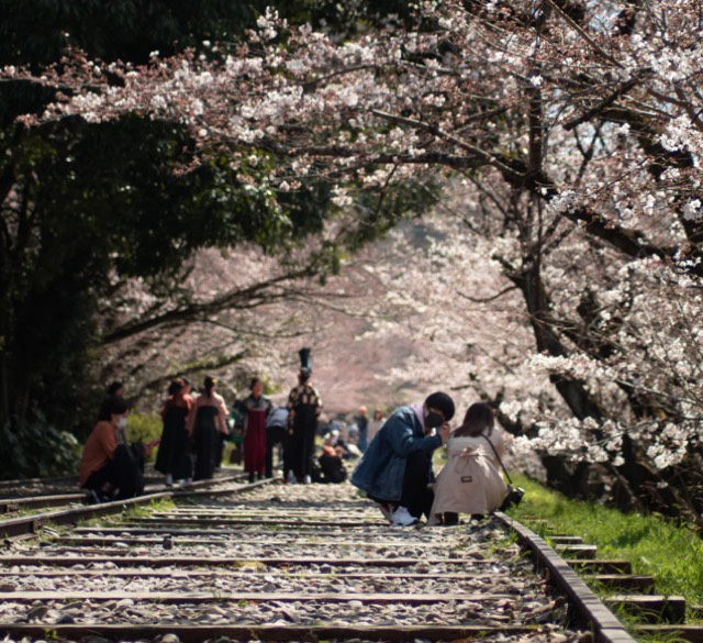 Kyoto, Japão, Agarre o Mundo