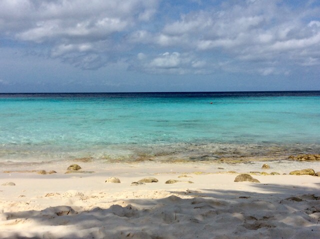 Curaçao, Agarre o Mundo