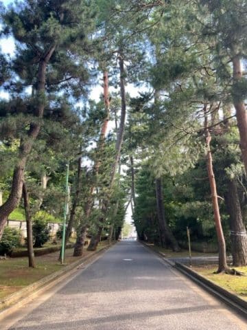 Gotoku-ji Temple, Setagaya, Tóquio, Japão, Agarre o Mundo