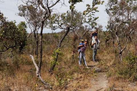 Cavalcante, Agarre o Mundo