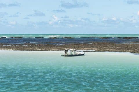 Galés de Maragogi, Alagoas, Agarre o Mundo