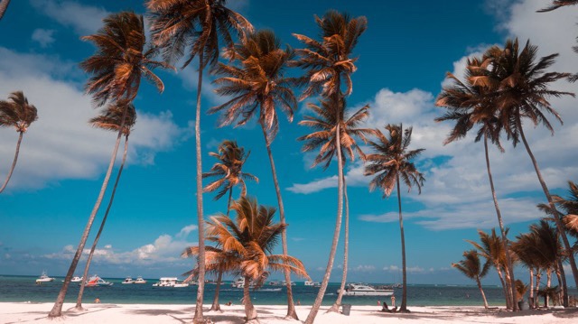 Cabeza de Toro, Punta Cana, Agarre o Mundo