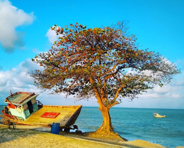 Jacumã, litoral sul da Paraíba, Agarre o Mundo