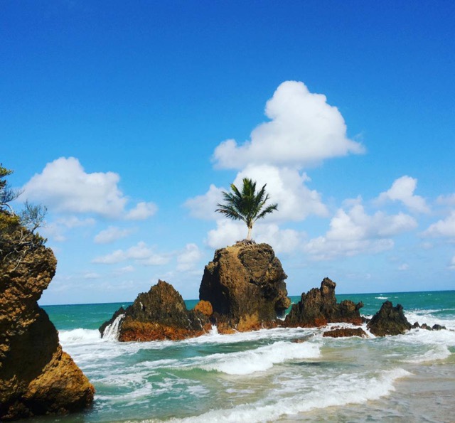 Praia de Tambaba, litoral sul da Paraíba, Agarre o Mundo