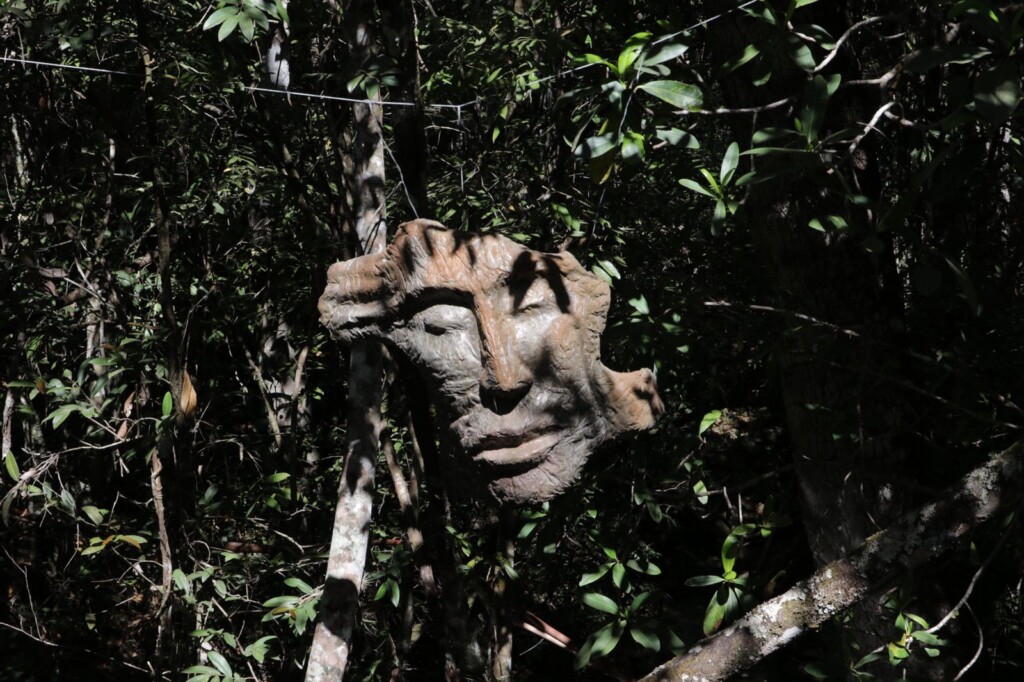 Escultura, Cachoeira Loquinhas, Chapada dos Veadeiros