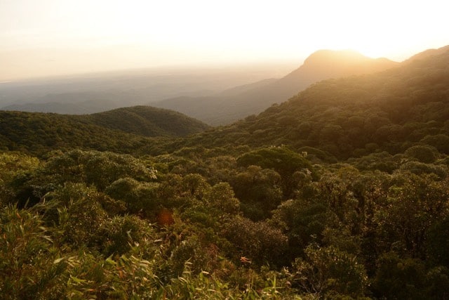 Estrada da Graciosa