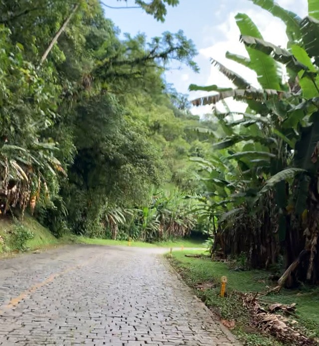 Caminho dos jesuítas- Estrada da Graciosa - Santa Catarina