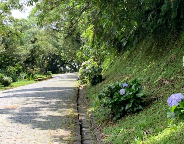 Caminho dos jesuítas- Estrada da Graciosa - Santa Catarina